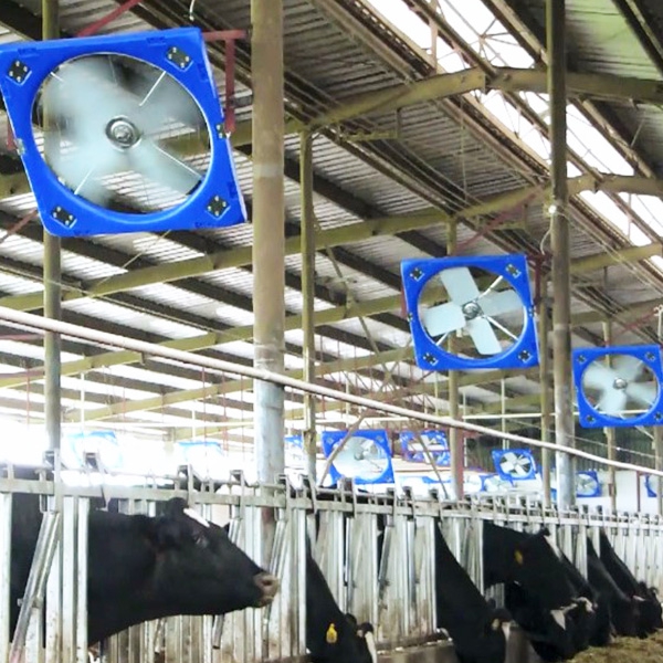 畜牧养殖风机(图1)
