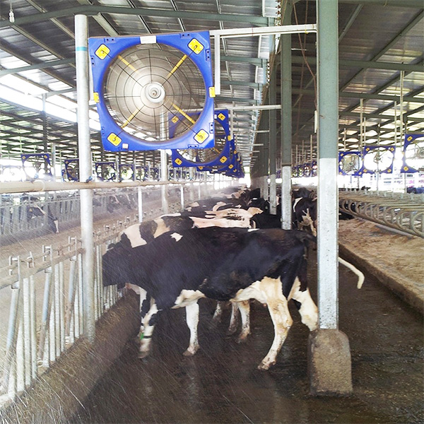 畜牧养殖风机
